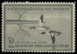 Scan of RW23 1956 Duck Stamp. MNH