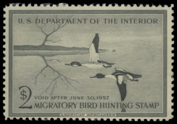 Scan of RW23 1956 Duck Stamp. MNH