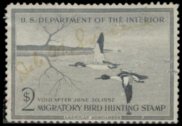 Scan of RW23 1956 Duck Stamp. Used