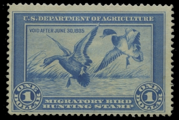 Scan of RW1 1934 Duck Stamp. MLH