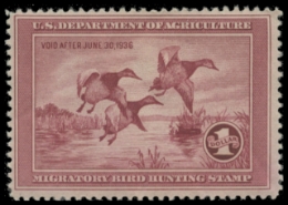 Scan of RW2 1935 Duck Stamp. MLH