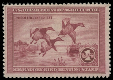 Scan of RW2 1935 Duck Stamp. MLH