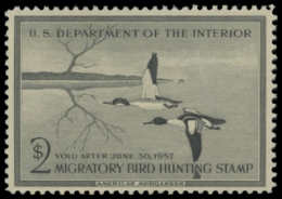 Scan of RW23 1956 Duck Stamp. MNH