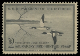Scan of RW23 1956 Duck Stamp. Unsigned