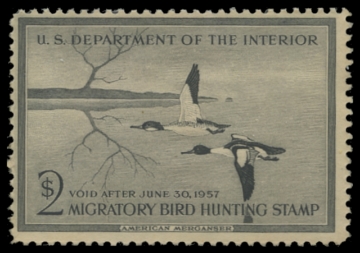 Scan of RW23 1956 Duck Stamp. Unsigned