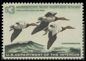 Scan of RW32 1963 Duck Stamp. MNH