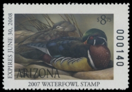 Scan of 2007 Arizona Duck Stamp