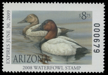 Scan of 2008 Arizona Duck Stamp