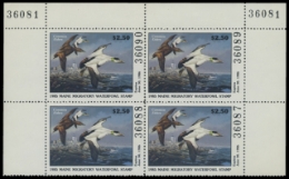 Scan of 1985 Maine Duck Stamp