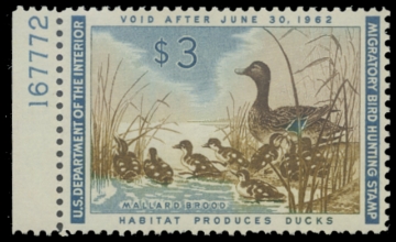 Scan of RW28 1966 Duck Stamp. MNH