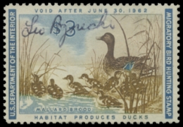 Scan of RW28 1966 Duck Stamp. Used