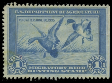 Scan of RW1 1934 Duck Stamp. Unsigned