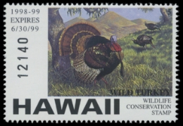 Scan of 1998 Hawaii Duck Stamp