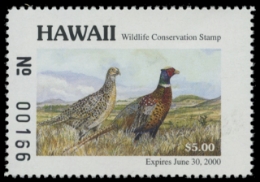 Scan of 1999 Hawaii Duck Stamp