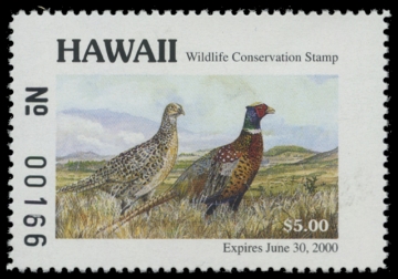 Scan of 1999 Hawaii Duck Stamp