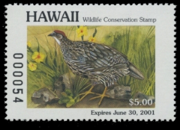 Scan of 2000 Hawaii Duck Stamp