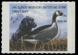 Scan of 1991 Illinois Duck Stamp