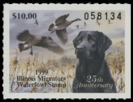 Scan of 1999 Illinois Duck Stamp