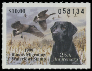 Scan of 1999 Illinois Duck Stamp