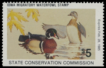 Scan of 1984 Iowa Duck Stamp