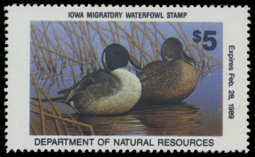 Scan of 1988 Iowa Duck Stamp