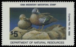 Scan of 1989 Iowa Duck Stamp
