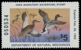 Scan of 1991 Iowa Duck Stamp