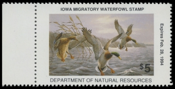 Scan of 1993 Iowa Duck Stamp