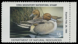 Scan of 1998 Iowa Duck Stamp