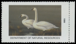 Scan of 1999 Iowa Duck Stamp