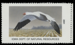 Scan of 2001 Iowa Duck Stamp