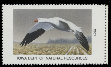 Scan of 2001 Iowa Duck Stamp