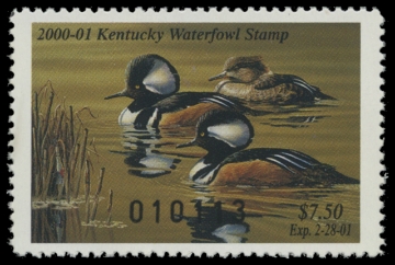 Scan of 2000 Kentucky Duck Stamp