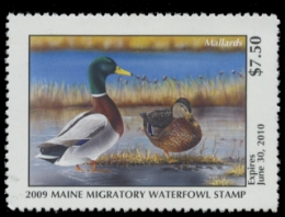 Scan of 2009 Maine Duck Stamp
