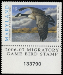 Scan of 2006 Maryland Duck Stamp