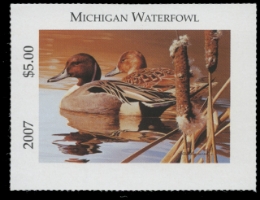 Scan of 2007 Michigan Duck Stamp