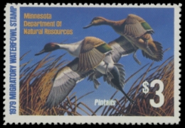 Scan of 1979 Minnesota Duck Stamp