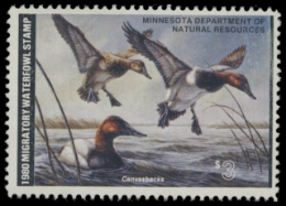 Scan of 1980 Minnesota Duck Stamp