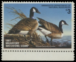 Scan of 1981 Minnesota Duck Stamp