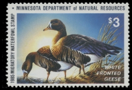 Scan of 1985 Minnesota Duck Stamp