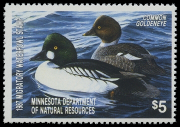 Scan of 1987 Minnesota Duck Stamp