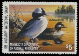 Scan of 1988 Minnesota Duck Stamp