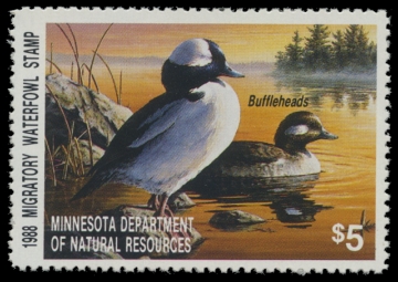 Scan of 1988 Minnesota Duck Stamp