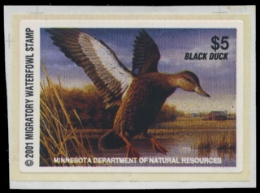 Scan of 2001 Minnesota Duck Stamp