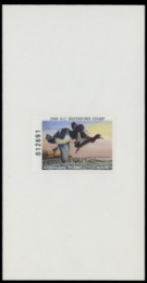 Scan of 2006 North Carolina Duck Stamp