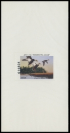 Scan of 2001 North Carolina Duck Stamp
