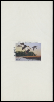 Scan of 2001 North Carolina Duck Stamp