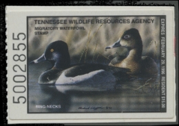 Scan of 1995 Tennessee Duck Stamp