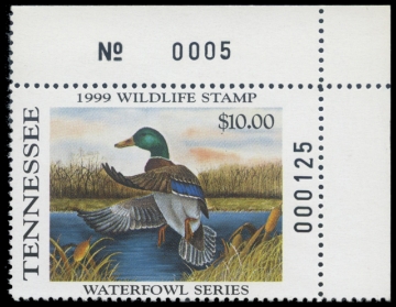 Scan of 1999 Tennessee Duck Stamp