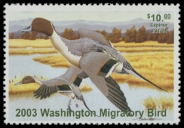 Scan of 2003 Washington Duck Stamp